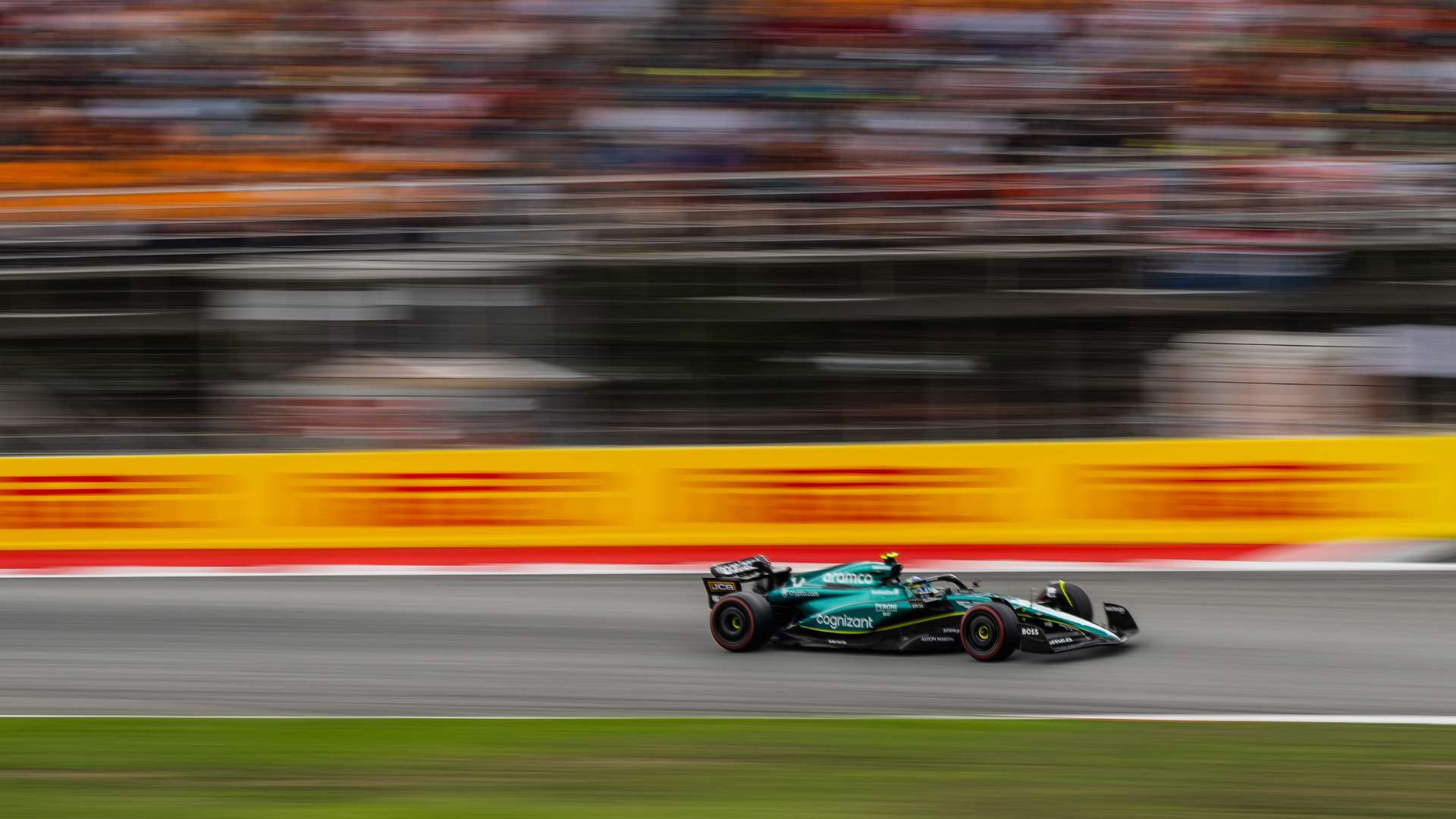 展示了他们 展示了他们