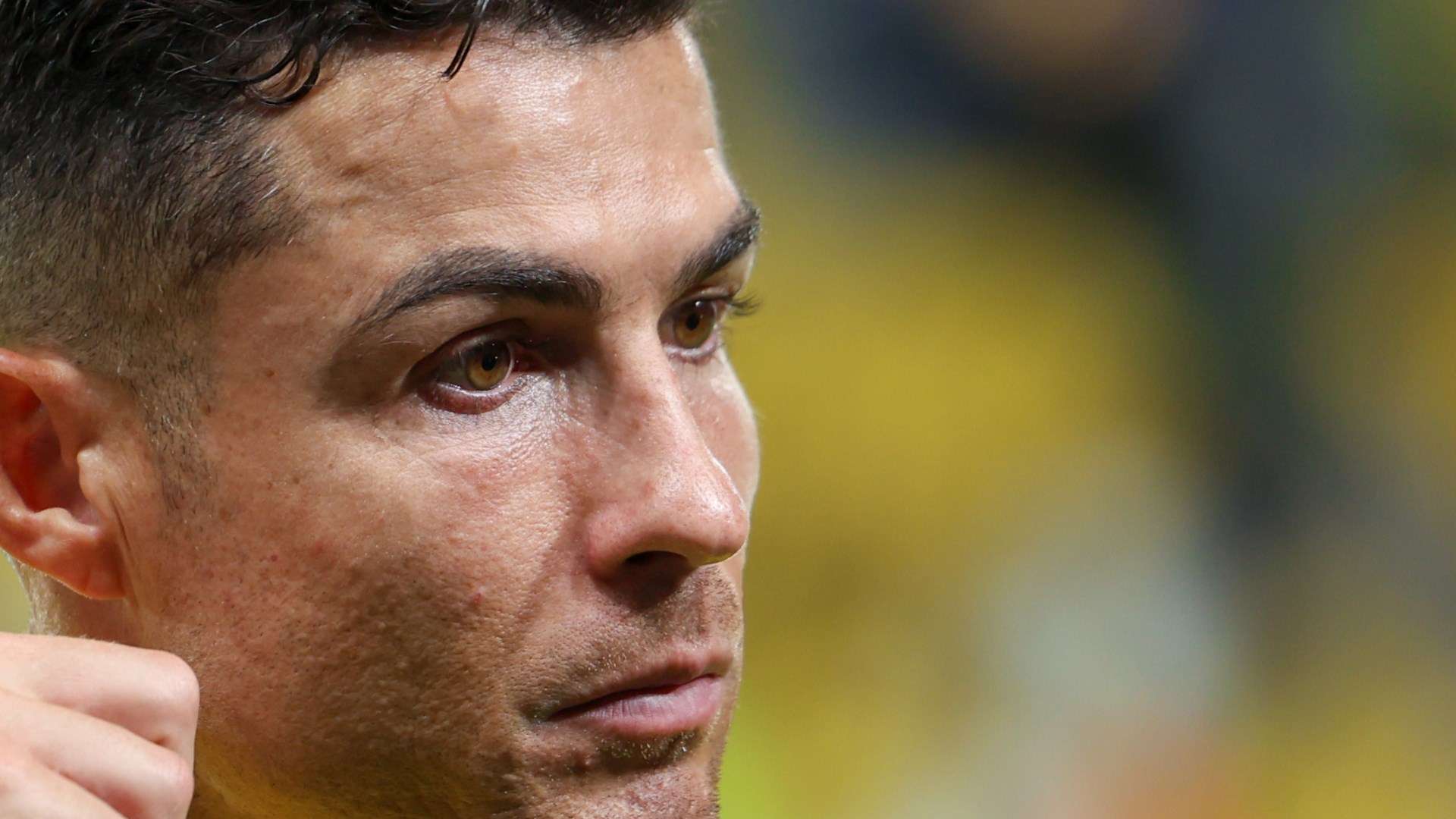 花的实力 花的实力