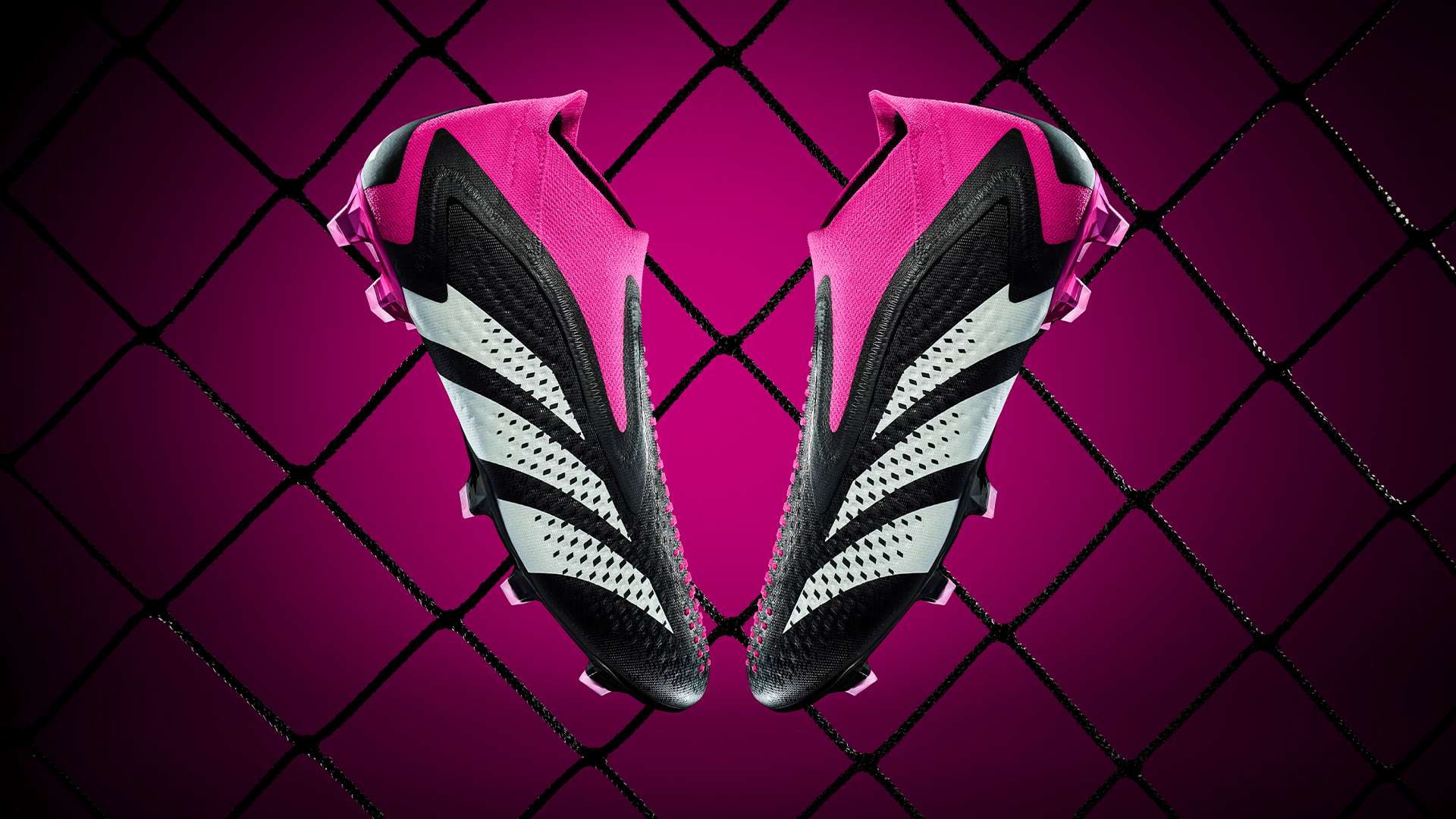 时政快讯 时政快讯